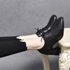Women's Shoes 2025 Spring New High-heeled Temperament Single Shoes Black First-layer Cowhide Thick-heeled Lace-up Deep-mouth Square Head Single Shoes
