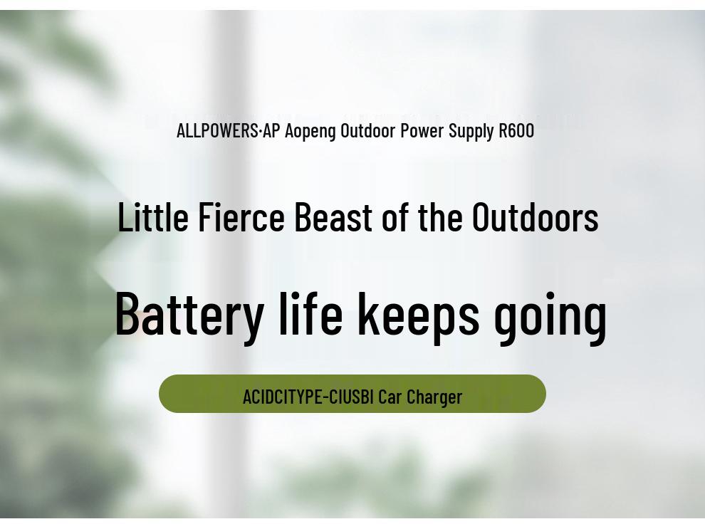 ALLPOWERS R600 600 Вт Автомобильный ИБП и Power Bank