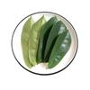 GRAVIOLA LEAF 100g Wild Harvest Soursop Custard Apple Annona Muricata