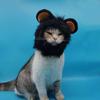Halloween Xmas Clothes Lion Modelling Pet Costume Lion Mane Wig Cap Hat Pet Cosplay Outfits