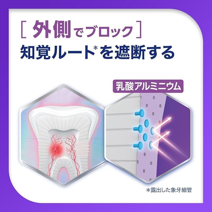 [2 штуки] Лечебная зубная паста Shumitect Night Care Низкоабразивная 30г x 2 штуки