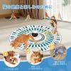 Rechargeable Cat Electric Pet Solitaire Play Perfect Gift for Relieves Satisfies Cat Hunting Innate Catch Me LED Japanese Instructions Included Toy,