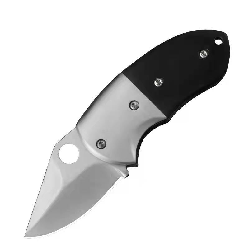 Stainless Steel Folding  Mini Knife Outdoor Camping Knife Fillet Knife fishing Express Parcel  Keychain Pocket Knife
