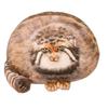 Super Soft Cat Plush Toy Lifelike Simulation Cat Pillow Kawaii Pallas Cat Toy  Children Gifts