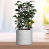 Metal Plants Trellis Hollow Leaf Indoor Outdoor Potted Flowers Plants Climbing Small Houseplant Vine Ivy Support Stake Gardening Supplies