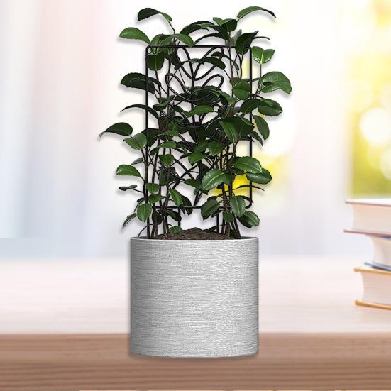 Metal Plants Trellis Hollow Leaf Indoor Outdoor Potted Flowers Plants Climbing Small Houseplant Vine Ivy Support Stake Gardening Supplies