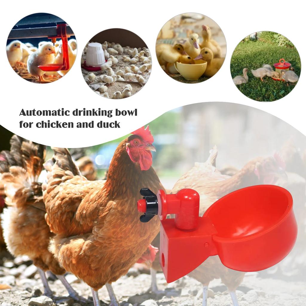 6/12pcs Chicken Water Dispenser Hanging Automatic Poultry Drinking Water Bowl Plastic for Farm Animal Feeding Supplies