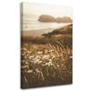 Canvas Print, Flowers On a Seashore