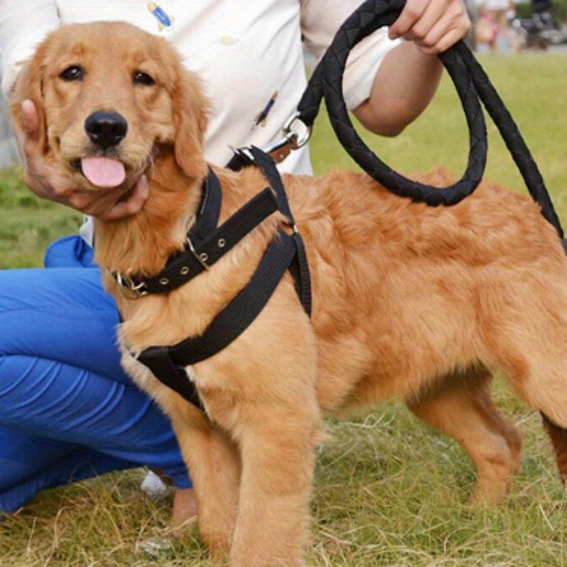 1 Roll Medium Heavy Weight Cotton Webbing - 8 Colors To Choose