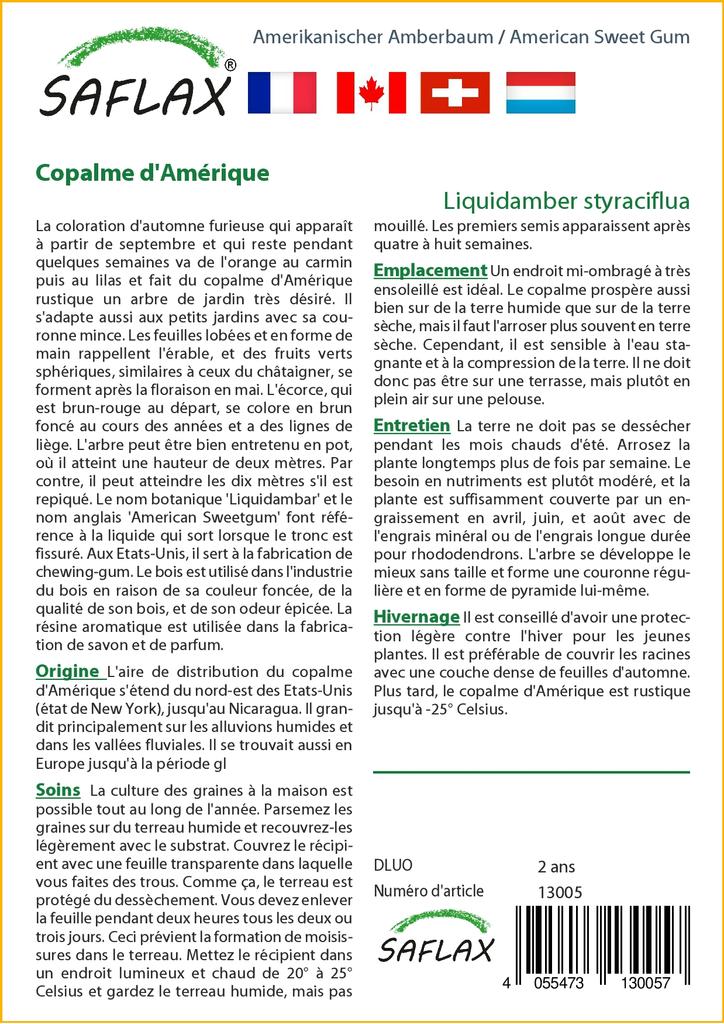 SAFLAX American Sweet Gum - 100 семян - Liquidamber styraciflua