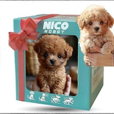 Новый робот-собака 2025 года для взрослых, ИИ-робот-собака, Nicoo - Мой реалистичный робот-щенок, который ведет себя как настоящий щенок - Ходит, лает, виляет хвостом