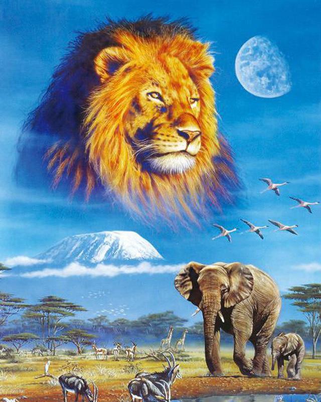 5D Алмазная вышивка Слон Полный квадратный круглый вышивка крестиком Алмазная картина Животное Мозаика Рукоделие Украшение дома