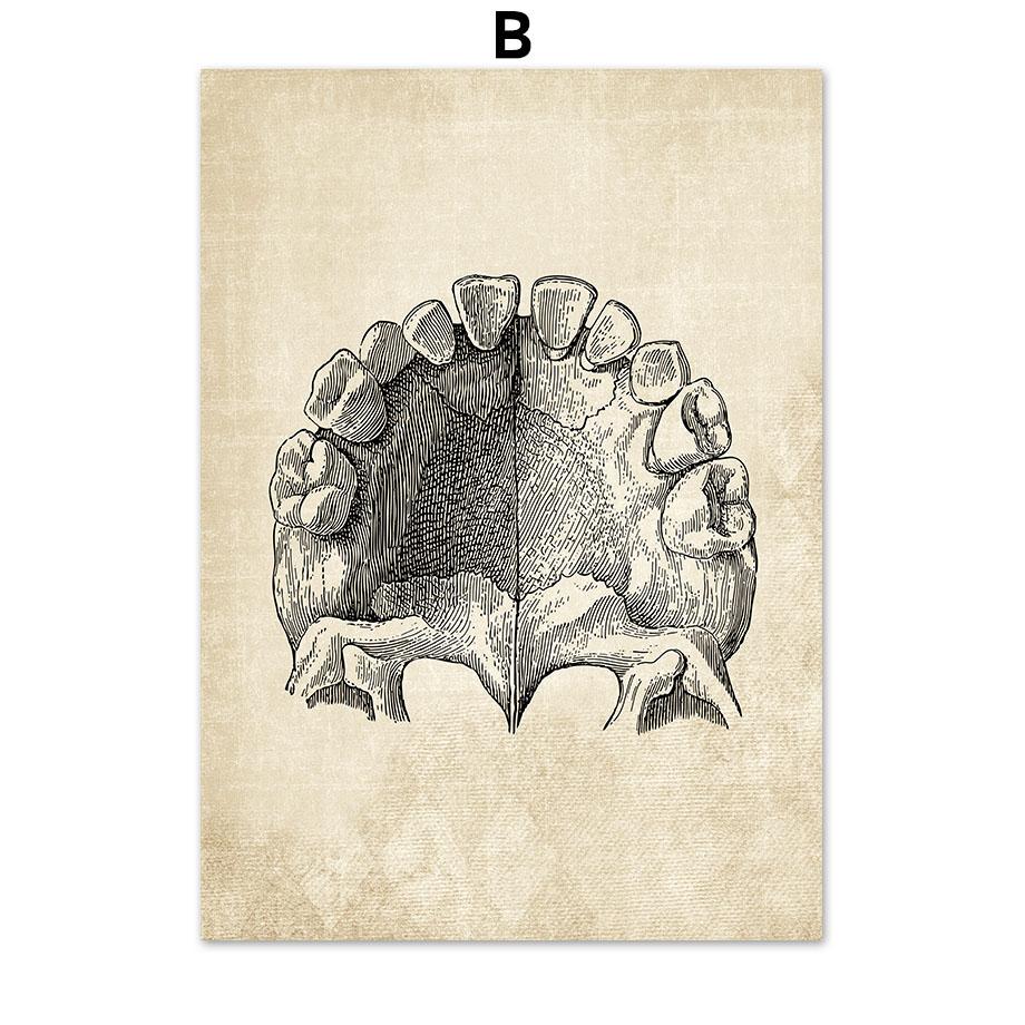 Постеры на скандинавскую тему и принты, настенная живопись на холсте, Анатомия, скелет, винтажные настенные панно для больницы, доктора, офисного декора
