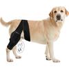 Pet Protective Gear Dog Leg Injury Auxiliary Belt Including Support Strip Dog Leg Guard Dog Knee Rehabilitation Belt