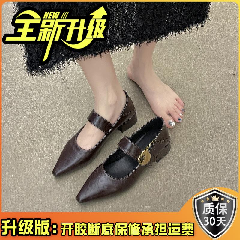 French Gentle Mary Jane Shoes Children 2025 Spring and Autumn New Pointed Head with Skirt Brown Low Heel Single Shoes Trendy Girl