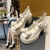 Thick-soled Thick-heeled Mary Jane Women's Shoes 2025 Spring New Small Versatile Bow with Skirt Small Leather Shoes Women