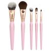 Face and Eye Brush Set, 5 Brushes