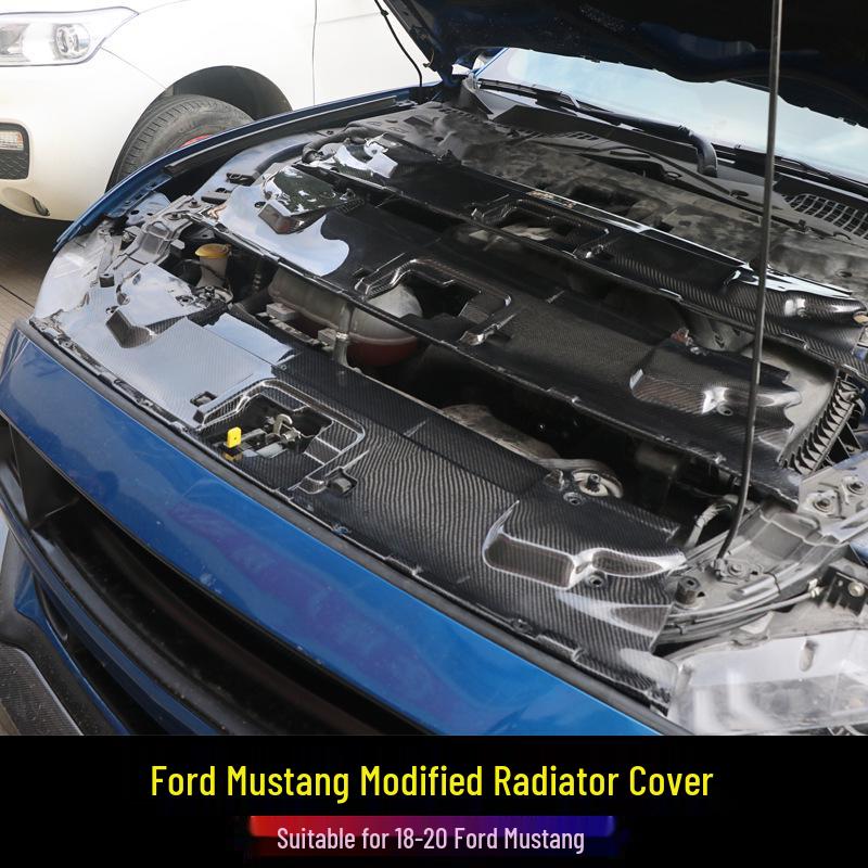 Carbon Fiber Radiator Cover & Hood Latch Guard for 2018-2023 Ford Mustang