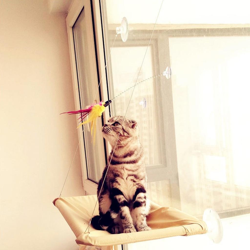 For Cat Teaser Toy Fun Feather Toys with Suction Cup Kitten Teaser Toys Interactive Catcher for Cat Toy for Kitten for C
