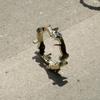 Cerofar GALLOP RING GOLD