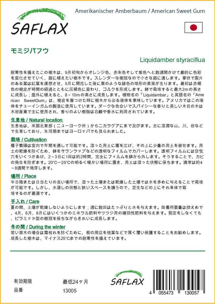 SAFLAX American Sweet Gum - 100 семян - Liquidamber styraciflua