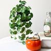 Long Artificial Plant Green Faux Copper Coin Grass Creative Succulent Plants Leaves  Home Office