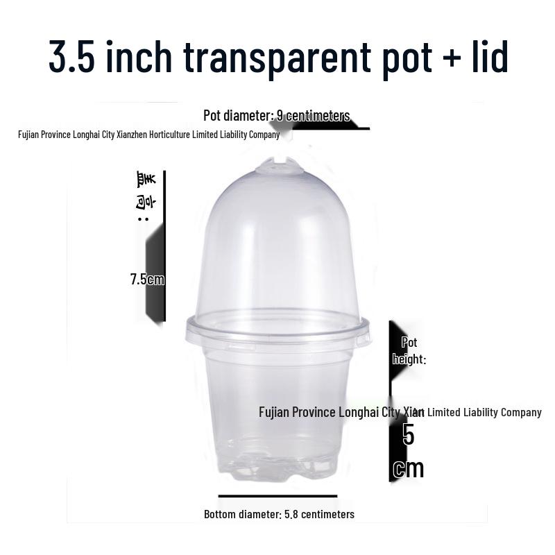 Durable PET Seedling Cups with Lids – Available in 3.5", 4", and 5" Sizes for Flower Pot and Nutrient Use