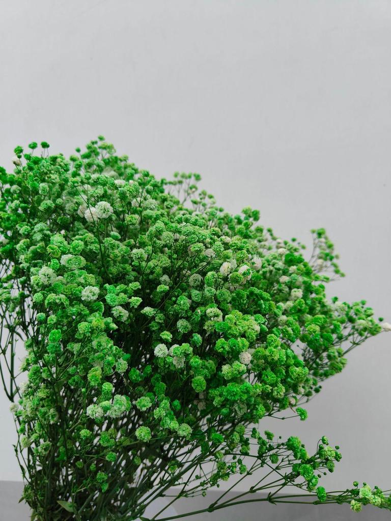 Luxury Gypsophila Preserved Dried Flower Bouquet - Everlasting Decor for Living Room