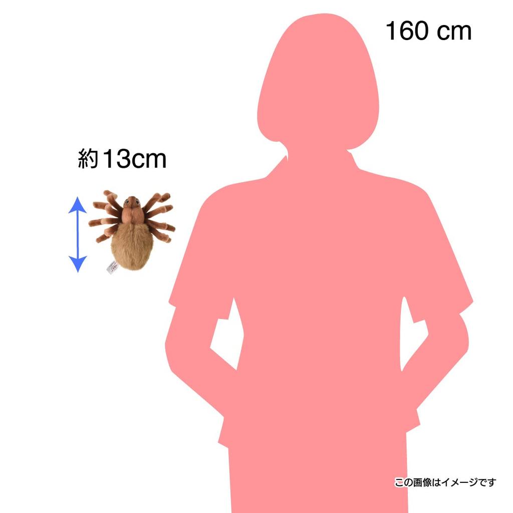 BH8488 HANSA Brown Tarantula 19