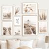Bunny Tail Grass Reed Flower Beach Sand Wall Art Nordic Posters And Prints Canvas Painting Wall Pictures For Living Room Decor