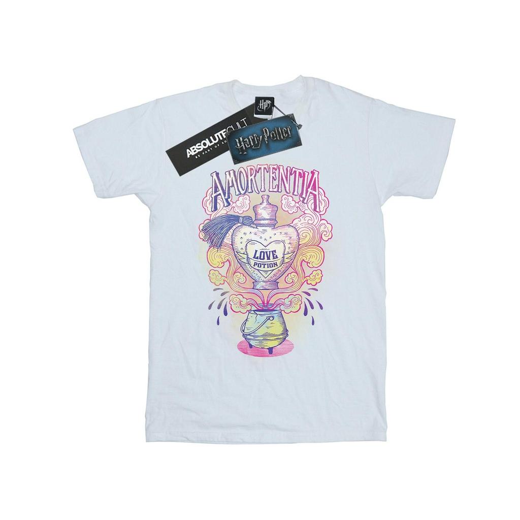 Harry Potter Womens/Ladies Love Potion Cotton Boyfriend T-Shirt
