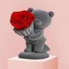 Flocking Bear Figurines with Preserved Rose Eternal Rose with Gift Box Romantic Gift for Girlfriend Wife Valentine's Day Gift