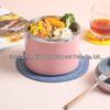 Изолированный стальной бенто-бокс Morandi - Большой объем, корейский стиль