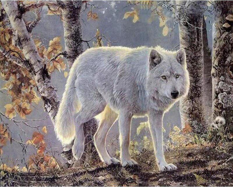 Алмазная вышивка египетские пирамиды животное верблюд полная квадратная вышивка крестиком Алмазная вышивка волк Алмазная мозаика Вселенная домашний декор