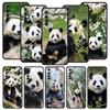 Чехол для телефона Fubao panda для Realme 13 12 10 9 8 7 GT3 GT5 GT2 Pro Plus 5G C21 C25 C35 GT Neo 2 3 3T 5