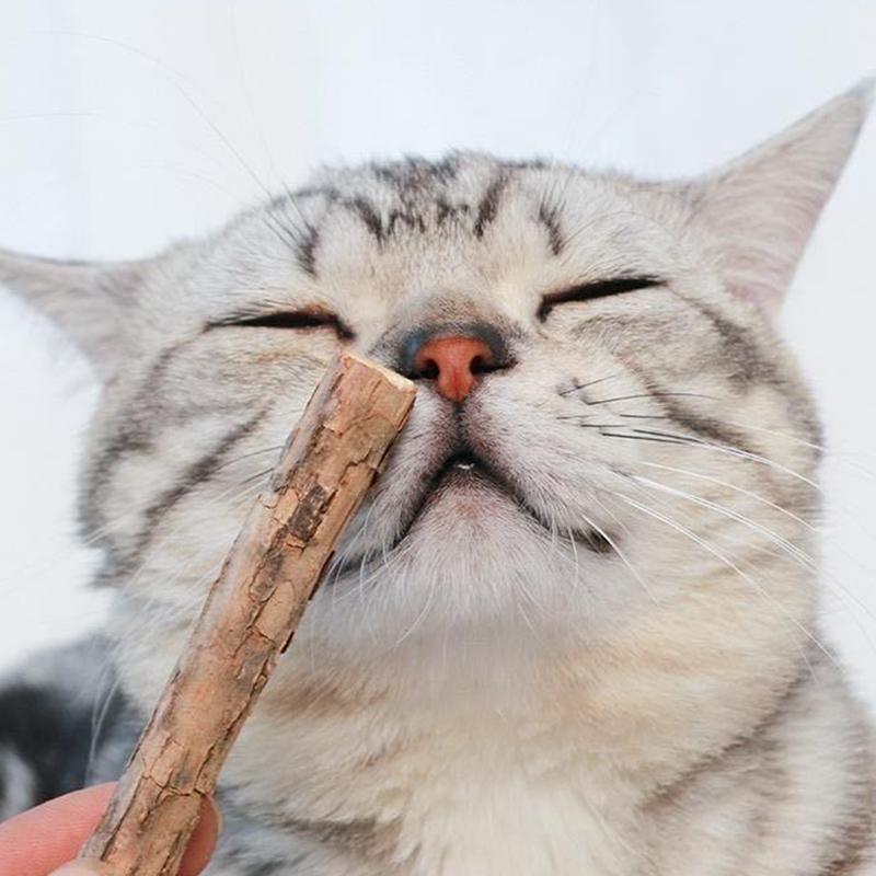 20 шт. палочек для кошачьей мяты, органические игрушки для кошек, натуральные растительные жевательные палочки, игрушки для чистки зубов у кошек, игрушки для жевания моляров у кошек, товары для животных
