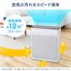 Iris Ohyama Air 24 Tatami Dust Energy Allergy Comes with a Energy Saving White Purifier, Mats, Deodorizing, Disinfecting, Deodorizing, Dust, Pollen,