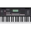 Roland E-X10 Electronic Arranger Keyboard, Easy Operation, 61 Keys, Auto Accompaniment, Microphone Input, Recording Function, Battery Operation, Perfe