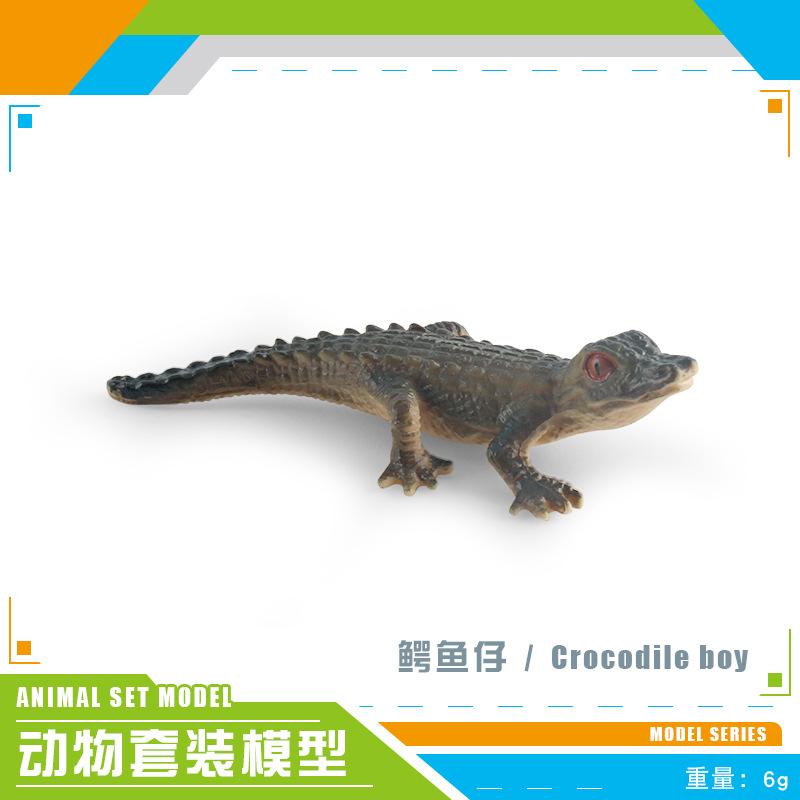 Имитация лесного животного, сурок, древесная лягушка, крокодил, коала, ласка, саламандра, скунс, барсук, статичный орнамент