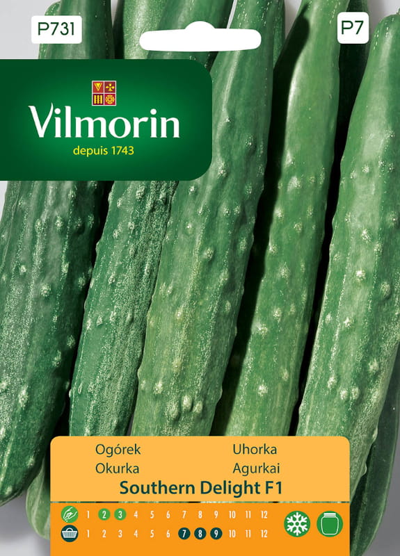 Cucumber Southern Delight F1 Seeds 1g - VILMORIN