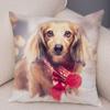 Mini Dachshund Cushion Cover Decor Pet Animal Pillowcase Sofa Home Children's Room Pillowcase