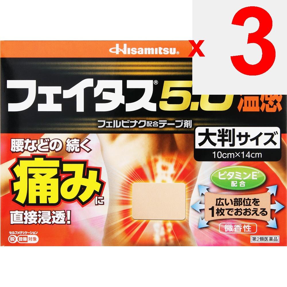 Hisamitsu Pharmaceutical Fitas 5.0 Warm Sensation Large Size 10 Sheets Plasta (Warming) Paste Indications: Joint Pain, Muscle Pain, Lower Back Pain, T