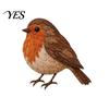 Stress Relief Handicraft Hobby 3D Bird Patchwork Kit, DIY Hummingbird Owl Sewing Needlework Kit for Beginners Handmade Fabric Art Crafting Home