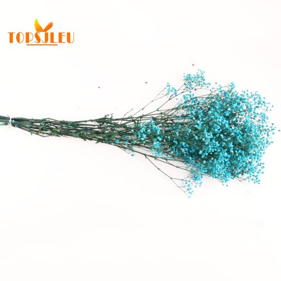 Букет эониума, сушеные цветы, яркий цвет, не выцветает, простота в уходе, натуральная сушеная гипсофила, сцена украшения ко Дню святого Валентина.