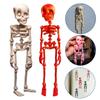 3D Printed Skeleton Fridge Magnet Magnetic Poseable Skull Creativity Model Ornaments Fridge Home Decoration Mini Display Board