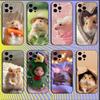 Милый Чехол для Телефона с Мышью, Крысой, Хомяком для iPhone 16,15,14,13,12,11,Mini,Pro,SE,MAX Белый Матовый Ударопрочный Чехол