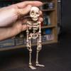 Подвижный скелет Магнит на холодильник 3D-печатный Шарнирный скелет Декор Хэллоуин Хоррор Светящийся череп Магнит Наклейка на холодильник