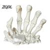Halloween Fireplace Accessories 3D Printed Skeleton Hand Figurine, Gothic Human Finger Decor Bone Statue for Tabletop, Desk, Shelf Party Niche