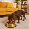 Stainless Steel Pet Feeding Bowl Large Capacity Cat Food Dish Dog Food Basin  For Dogs Cats