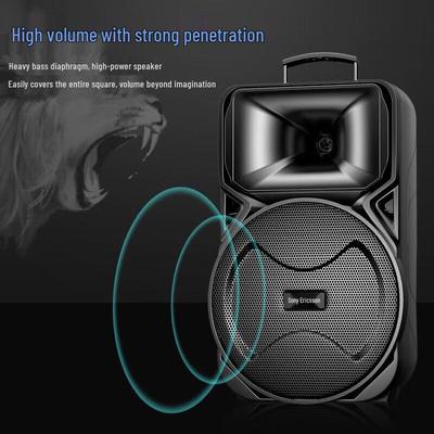 Suoai 12-дюймовая портативная уличная KTV Bluetooth колонка на колесиках, штекер CN (адаптер в комплекте)